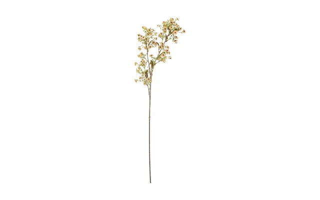 Bloomingville Stem Wax Flower White