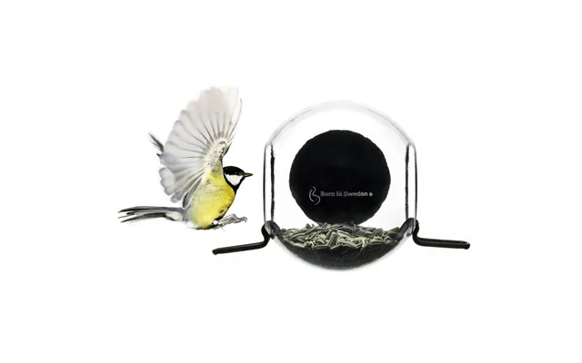 Born In Sweden Bird Feeder Recyclable Plastic