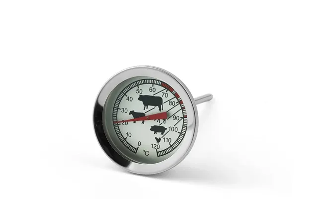 Funktion Function Roasting Thermometer Steel
