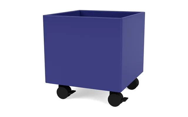Montana Colour Box I S6161 Monarch