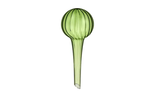 Muurla Muurla Self-watering 15 Cm Green