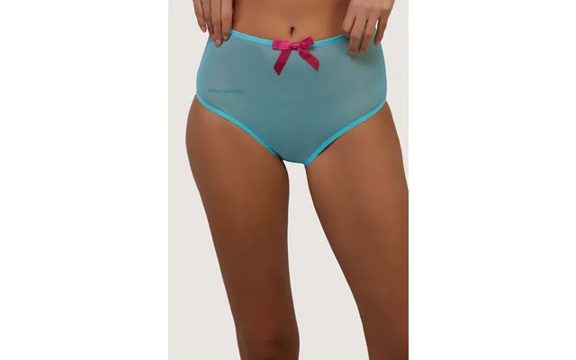 Cleo Contrast Stitch Mesh Retro High Waisted Brief 8