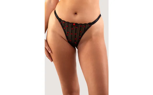 Elodie Black And Red Rosebud Embroidery Brief 8