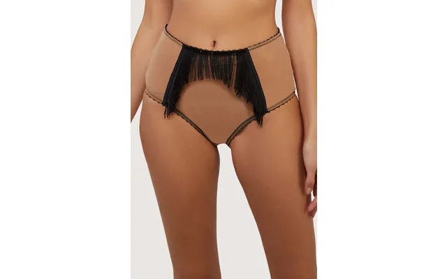 Esme Illusion Net And Fringe High Waisted Brief 10