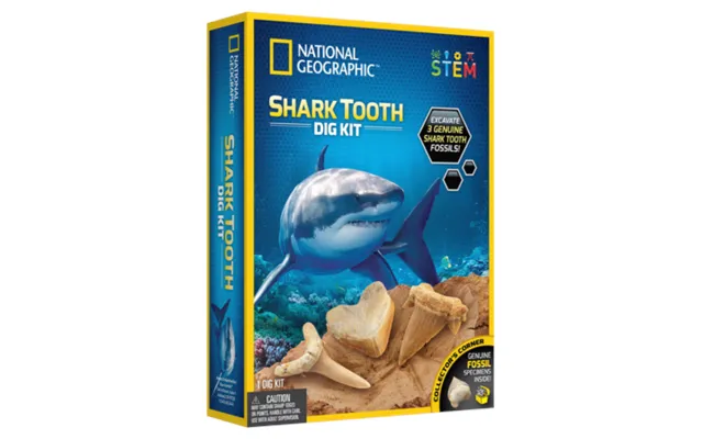 National Geographic Shark Tooth Dig Kit