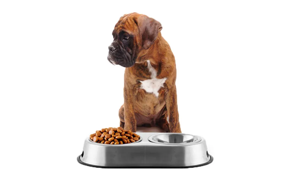 Pet Prior Food Bowl