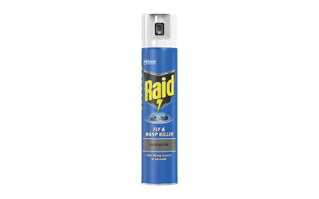 Raid Fly & Wasp Spray - 300ml