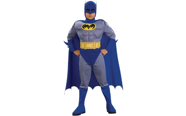 Rubies The Brave And The Bold Batman Costume
