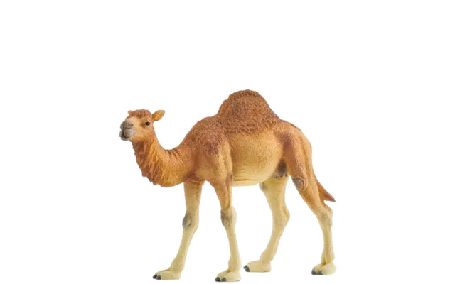 Schleich Dromedary - 14832