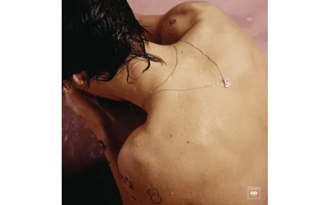 Harry Styles - Self Titled Vinyl
