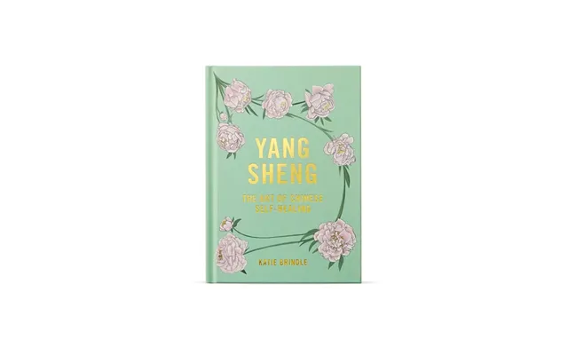 Hayo'u Yang Sheng - The Art Of Chinese Self Healing Book