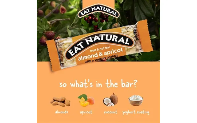 Eat Natural Almond Apricot & Yoghurt Fruit & Nut Gluten Free Bar 40g Pack 12 X 40g - 0401377
