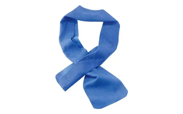 Ergodyne 12418 Hand Towel Blue 10.2 X 74.9 Cm product image
