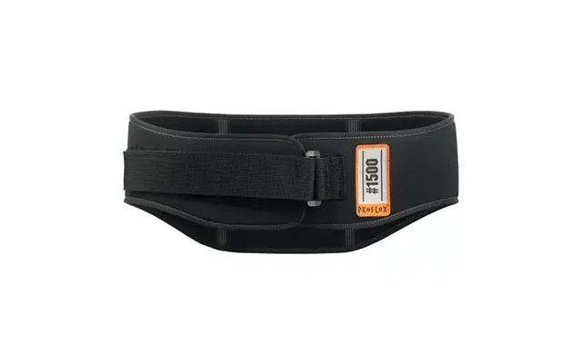 Ergodyne Proflex 1500 Back Brace Xl
