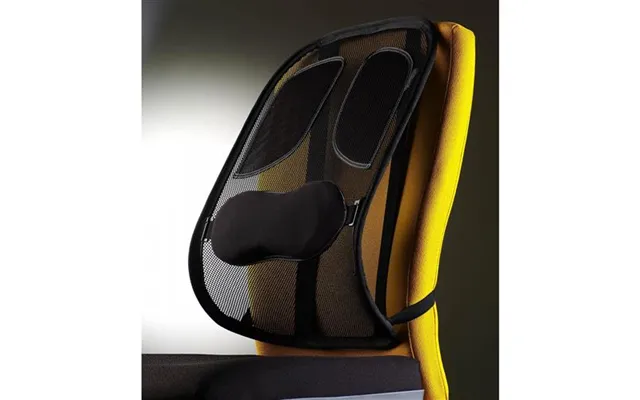 Fellowes Back Support For Office Chair - Professional Series Mesh Office Chair Back Support