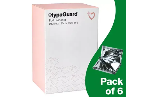 Hypaguard Foil Blanket 210cm X 130cm Pack 6 - Q2023t