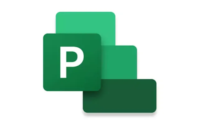 Microsoft Project Professional 2024 Project Management Full 1 License S