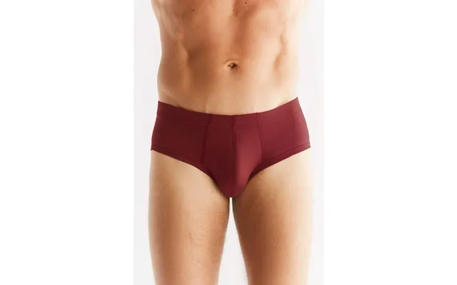 Organic Cotton Briefs Mens
