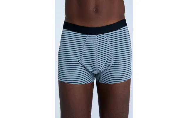 Organic Cotton Trunks Mens