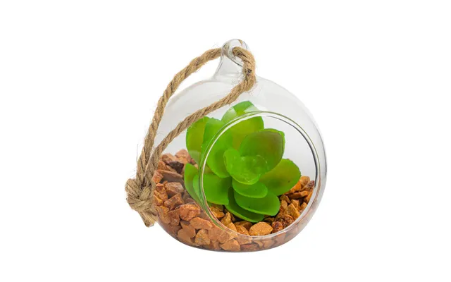 8cm Hanging Glass Succulent Terrarium