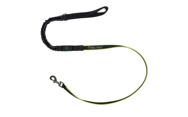 Bee-safe Dog Leash Running Usb One Size Black Women
