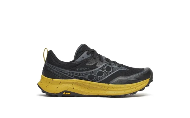 Saucony Peregrine 16 Gtx 41 Black Men