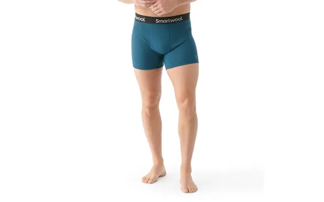 Smartwool Boxer Briefs In Blue - Comfortable Activewear Underwear For Size, Perfect For Running And Outdoor Activities