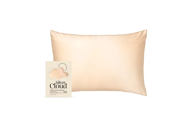 Silver Cloud Caramel Satin Pillowcase With Silver Ions