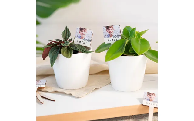 Set Of 12 Personalised Plant Pots With Uv Printed Wooden Labels Customise Each Pot Perfect For Home Or Garden Decor