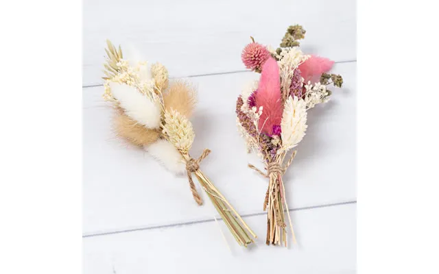 Smartphoto Dried Flowers Coloured - Set Of 6