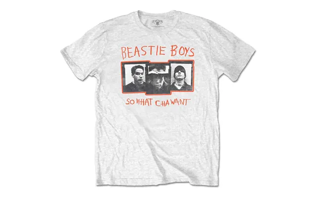 The Beastie Boys - So What Cha Want