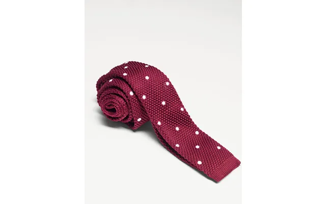 Elensa Silk Tie - Burgundy Dot