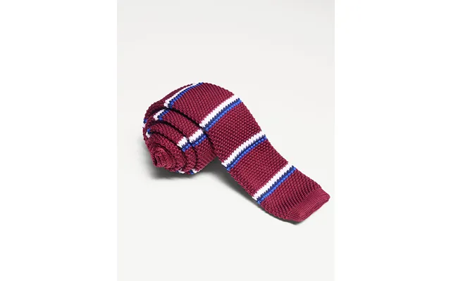 Elensa Silk Tie - Burgundy Stripe
