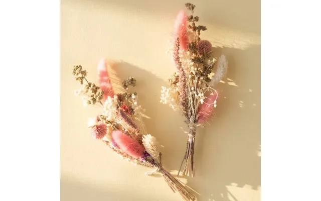 Smartphoto Dried Flowers Natural - Set Of 6