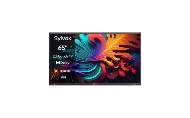 65 2000nit Premium Qled Google Outdoor Tv Full Sun - 2026 Pool Pro Qled 2