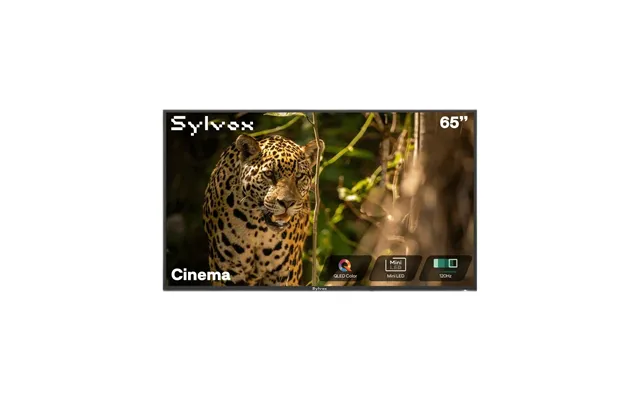 65 Outdoor Tv, 2000 Nits, 120hz - 2025 Cinema Helio Qled