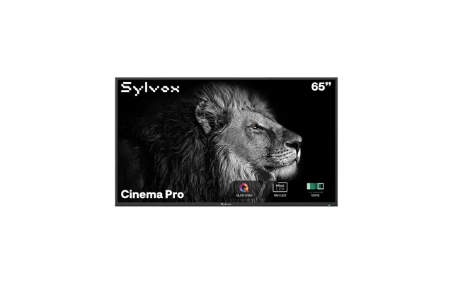 65 Outdoor Tv, 3500 Nits, 120hz - 2025 Cinema Pro Helio Qled