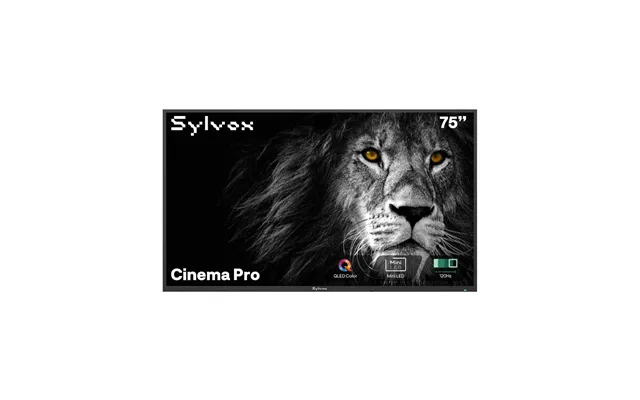 75 Outdoor Tv, 3500 Nits, 120hz - 2025 Cinema Pro Helio Qled