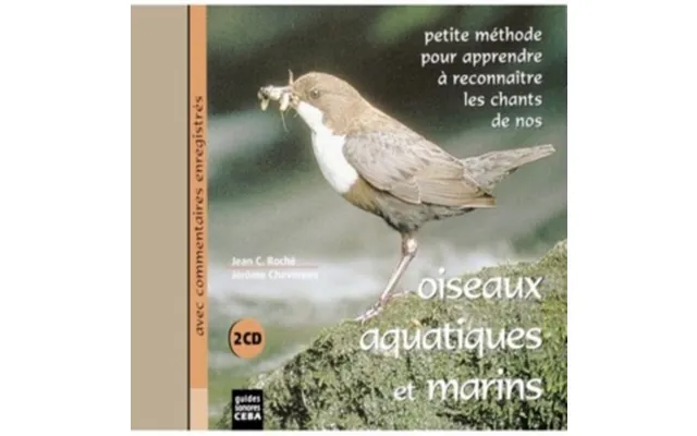 Oiseaux Aquatiques Et Marins