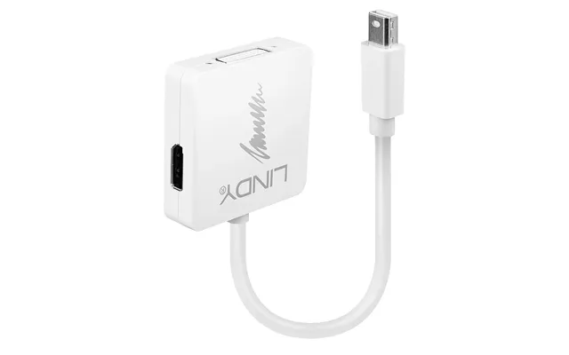 Lindy Mini Displayport 1.2 To Displayport 1.2 - Hdmi 1.4 And Dvi Converter
