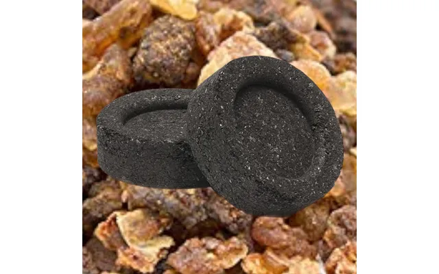 10pk Charcoal Discs