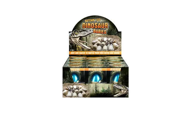 12pk Hatching Egg Dinosaur Babies