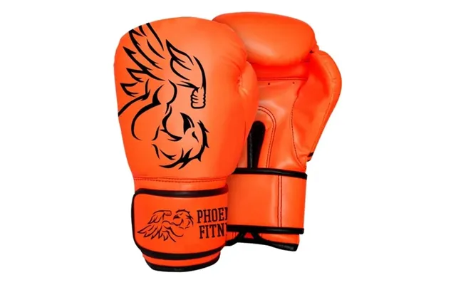 Boxing Gloves - Punching Mitts