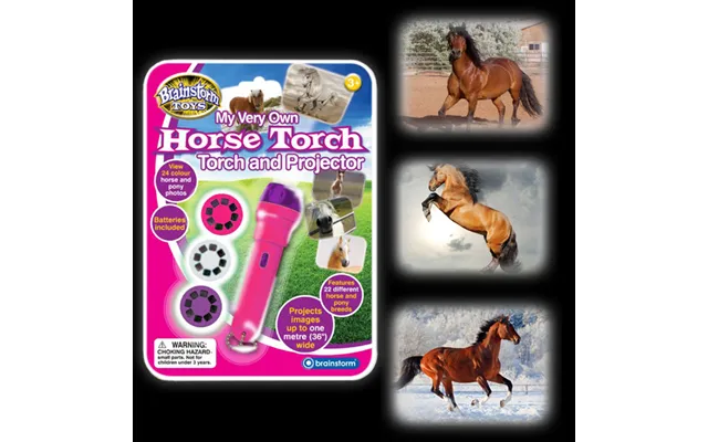 Horse Torch & Projector