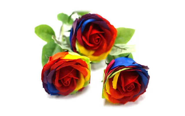 Rainbow Rose Soap In Presentation Box