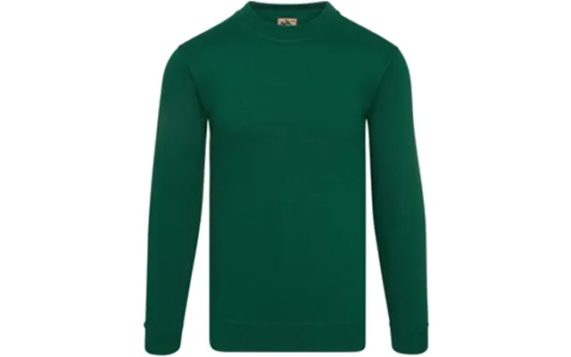 Orn Kestrel Earthpro Grs Sweatshirt - Bottle product image