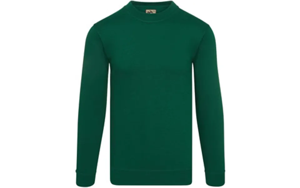 Orn Kestrel Earthpro Grs Sweatshirt - Bottle