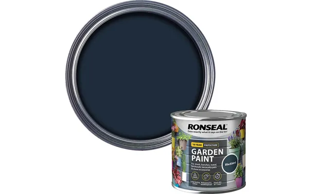 Ronseal General Purpose Garden Paint Blackbird 250ml product image