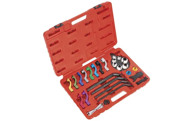 Sealey 27 Piece Fuel And Air Conditioning Disconnection Set