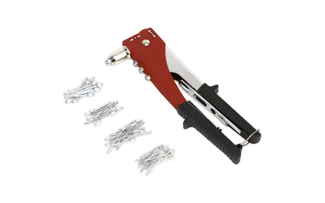 Sealey Two-way Riveting Kit